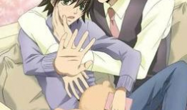 动漫bl,青春BL的甜蜜旋律